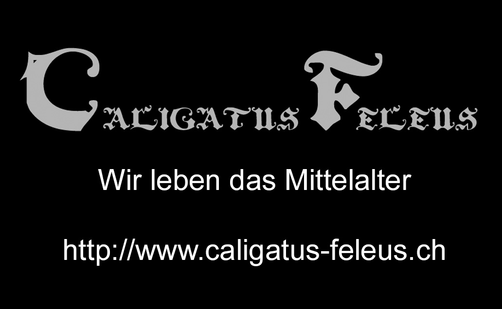 Langbogenturnier Schweiz - Caligatus Feleus